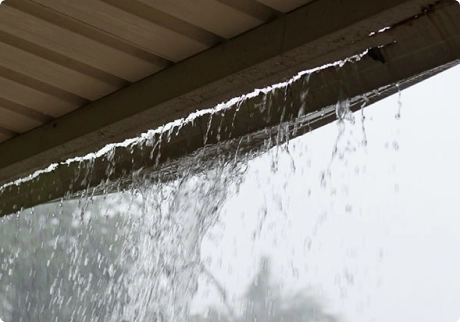 Roof & Gutter Leaks